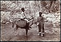Collectie Nationaal Museum van Wereldculturen TM-60062268 Twee jongens en een ezel bij de Cane river Jamaica J.W.C. Brennan (Fotograaf).jpg