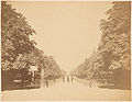 College Avenue (later University Avenue), looking north