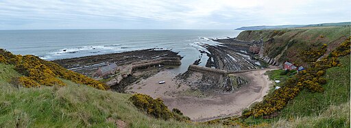 Cove Harbour panorama