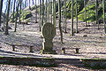 image=File:Cranach Denkmal Eisenach.jpg