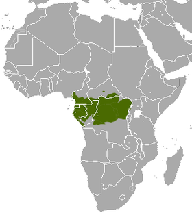 Crested Mona Monkey area.png