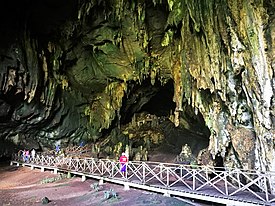 Cueva de las Lechuzas, v národním parku Tingo María05.jpg