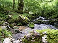 Miniatura para Río Latarmá