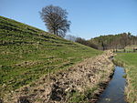 Spätwürmeiszeitliche Terrassen zwischen Burnau, Prestenberg, Vorderreute, Buch und Krumbach