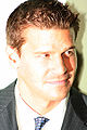 David Boreanaz alias Angel