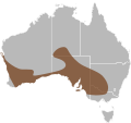 Range of the Marble-faced Delma (Delma australis)