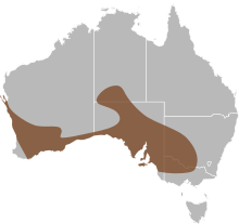 Delma australis distribusi.svg