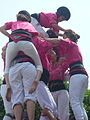 Diada castellera de les festes de primavera del 2014 a Sant Feliu de Llobregat. Hi actuaven els Castellers de Sant Feliu (camisa rosa), els Castellers de Viladecans (camisa verda) i els Castellers de Santa Coloma (camisa blau cel).Template:Location dec