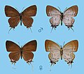 2012年3月14日 (水) 11:35時点における版のサムネイル