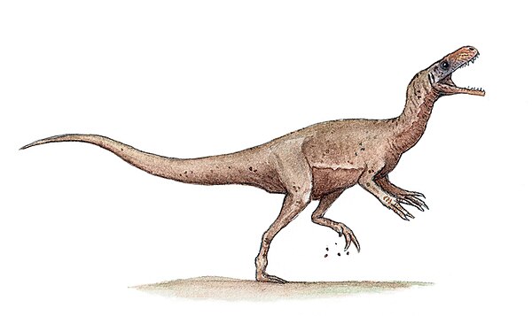 Life restoration