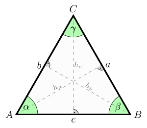 An equilateral triangle. It has equal sides (
a
=
b
=
c
{\displaystyle a=b=c}
), equal angles (
a
=
b
=
g
{\displaystyle \alpha =\beta =\gamma }
), and equal altitudes (
h
a
=
h
b
=
h
c
{\displaystyle h_{a}=h_{b}=h_{c}}
). Equilateral-triangle-heights.svg