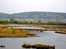 View of the Nettelstedter Berg from the north. from the Großes Torfmoor (Great Peat Bog)