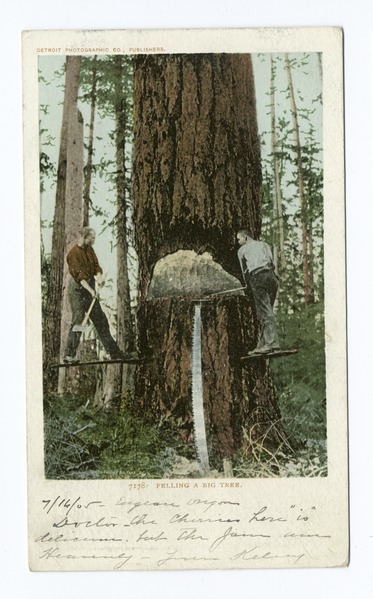 File:Felling a Big Tree, Oregon (NYPL b12647398-66395).tiff