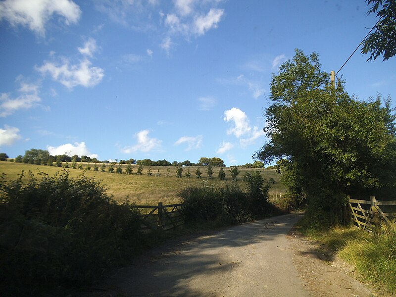 File:Field by Broad Street Hill - geograph.org.uk - 5046615.jpg