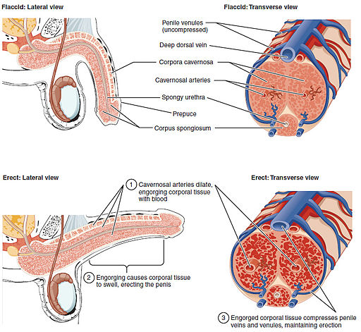 Figure 28 01 06