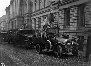 Flyttning av Helsingfors universitets zoologiska kollektion till museet. Foto: Ivan Timiriasew, 1923.