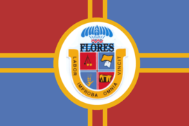 Bandera de Flores