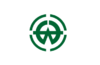 Flag of Otone Saitama.png