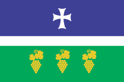 Vlag van Tsageri Municipality.svg