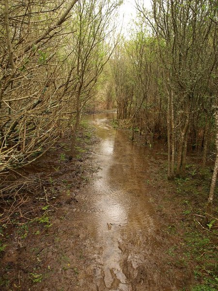 File:Flooded path near Newbridge - geograph.org.uk - 1288177.jpg