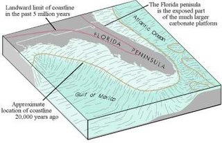 <span class="mw-page-title-main">Geology of Florida</span> Overview of the geology of the U.S. state of Florida