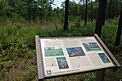 Francis Marion NF2.jpg