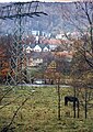 View from the Leisnitz to the castle.