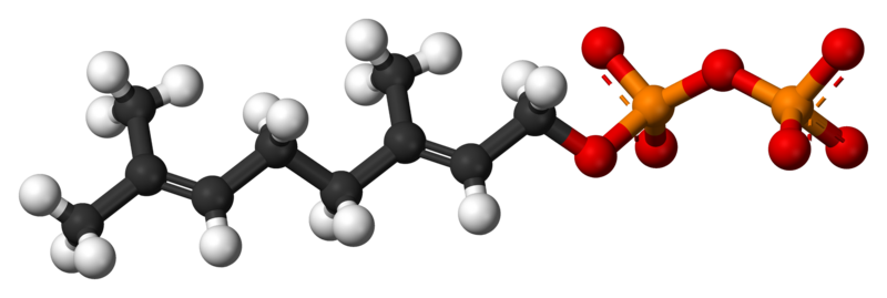 File:Geranyl-pyrophosphate-3D-balls.png