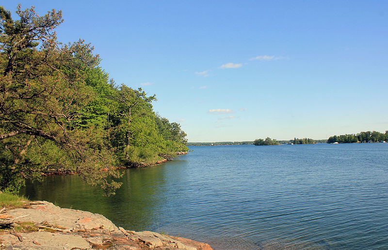 File:Gfp-new-york-wellesley-island-state-park-shore-and-horizon.jpg