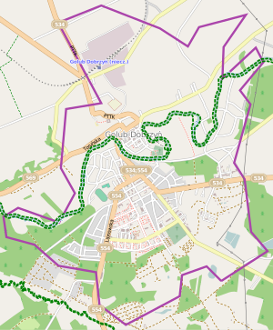 300px golub dobrzy%c5%84 location map.svg