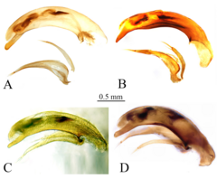 Huang et al