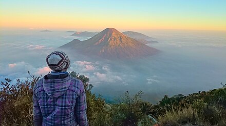 Mount Sindoro from the peak of Mount Sumbing