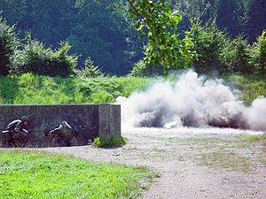 Handgranate: Wortherkunft, Geschichte, Verwendung