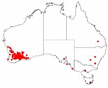 Hakea multilineata DistMap.jpg