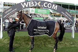 <span class="mw-page-title-main">Harchibald</span> French-bred Thoroughbred racehorse