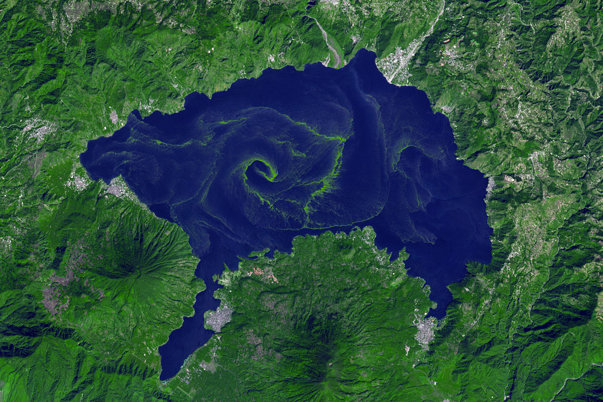 Озеро Виктория космический снимок