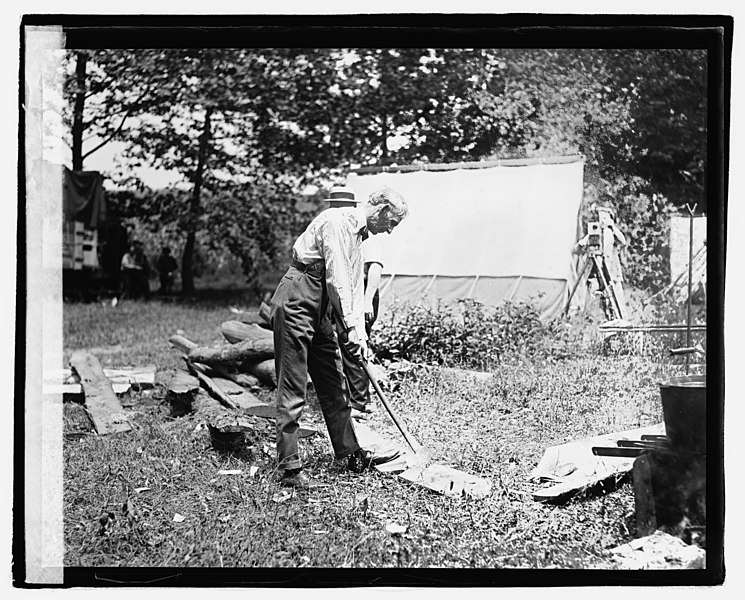 File:Henry Ford chopping wood LOC npcc.04714.jpg