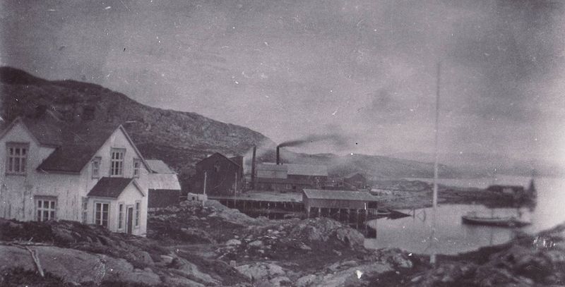 File:Hestnes whaling station Norway 1929.jpg