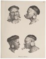 Homo sapiens - Botokude-indiaan, Brazilië - 1700-1880 - Print - Iconographia Zoologica - Special Collections University of Amsterdam - UBA01 IZ19500206.tif