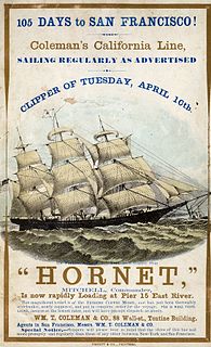 <i>Hornet</i> (clipper)