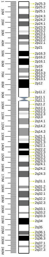 Map of Chromosome 1