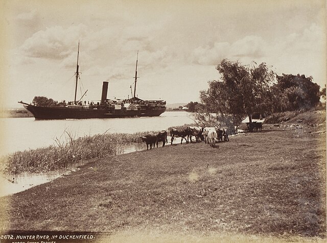 Paddle steamer on the Hunter River near Duckenfield, New South Wales, c.1890