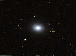 IC 1919 DSS.jpg