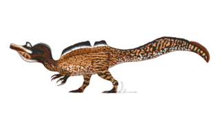 Ichthyovenator