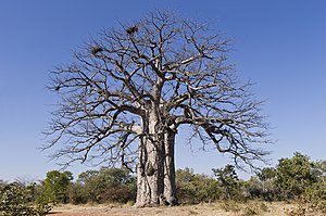 List Of National Parks In Africa