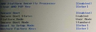 <span class="mw-page-title-main">AMD Platform Security Processor</span> Trusted execution environment subsystem that runs on AMD microprocessors