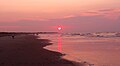 Isle-of-Palms-sunrise-sc1.jpg