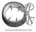 J.L. Milton "Pathology... Spermatorrhoea"; urethral ring Wellcome L0020376.jpg