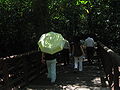 Waterfall Aviary