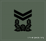 KA insignia (cloth) Sergeant 1st Class.gif